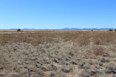 4750 Robbie Lane D, Paulden, AZ 86334 - photo 4