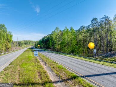 0 Georgia 400 N unit 10510411, Dawsonville, GA 30534 - photo 4