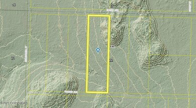 Tr8 Tomski, Anchor Point, AK 99556 - photo 3