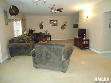 502 S East St, Virginia, IL 62691 - photo 6