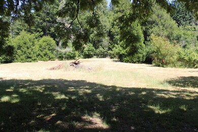 2025_06_06_4653