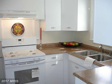 5909 Bertram Ave, Baltimore, MD 21214 - photo 4