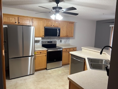 441 Pleasant Ln, Chaska, MN 55318 - photo 2