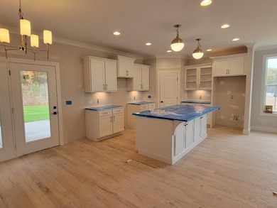 4709 Perth Ln, Nolensville, TN 37135 - photo 2