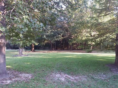 Other. beautiful back yard
