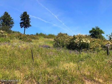 NKA Van Dusen, Harrison, ID 83833 - photo 2