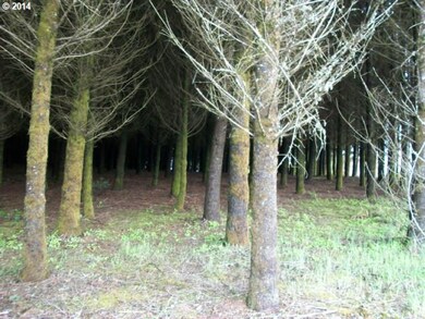 0 Savage Rd unit 13200271, Sheridan, OR 97378 - photo 4