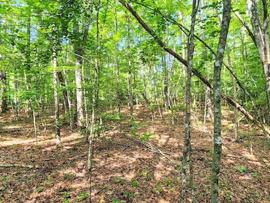 0 Helenwood Loop Rd unit 24289292, Helenwood, TN 37755 - photo 4