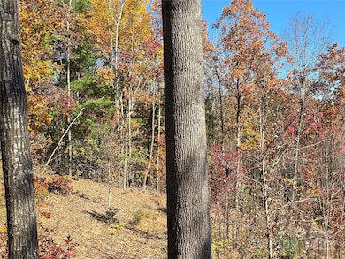 295 S Feather Falls Trail unit 50, Black Mountain, NC 28711 - photo 7