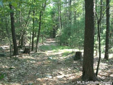 TBD Kripplebush Rd, Marbletown, NY 12404 - photo 4