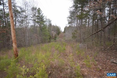 Lot C Lamm Rd, Monroe, VA 22968 - photo 7