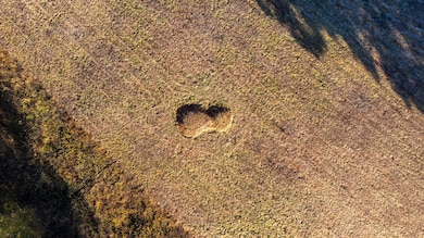 Oak Forest Rd, Bland, MO 65014 - photo 7