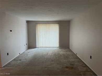 12029 Clifton Blvd, Lakewood, OH 44107 - photo 3