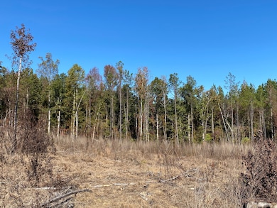 0 Vertie Hoggle Rd, North Perry, AL 36756 - photo 6