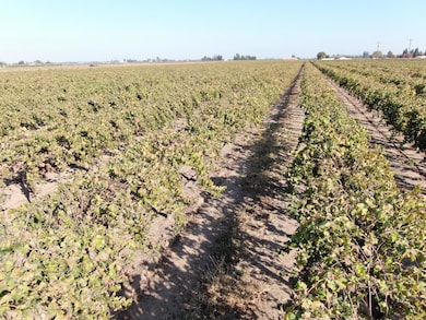 0 N Sycamore Rd, Acampo, CA 95220 - photo 3