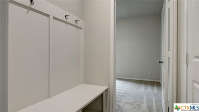 361 Lacey Oak Loop, San Marcos, TX 78666 - photo 5