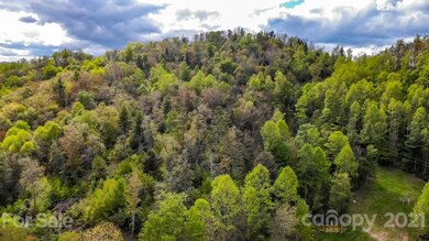 18 acres Ramblin Acres Trail, Beech Mountain, NC 28604 - photo 2