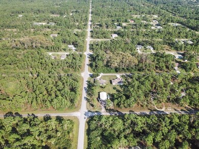 2025 Grayson Ave, Alva, FL 33920 - photo 5