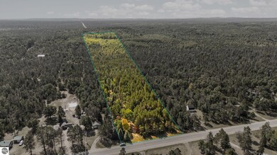 794 M-72 E, Grayling, MI 49738 - photo 4