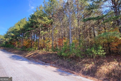 LOT 7 Ridge Top Dr unit 7, Ellijay, GA 30536 - photo 6