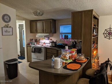 139 Butternut St, Kunkletown, PA 18058 - photo 3