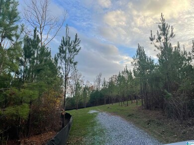 220 Saddlewood Trails Pkwy unit 1, Columbiana, AL 35051 - photo 6