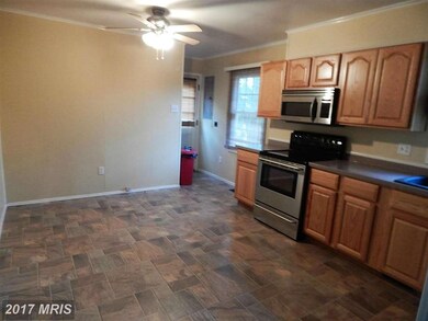 10184 Thomasson Ln, Rixeyville, VA 22737 - photo 4