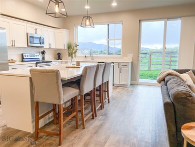 Beautiful kitchen looking out on 7 acres of parkla