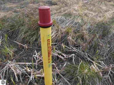 #10 Putnam Rd, Hale, MI 48739 - photo 6