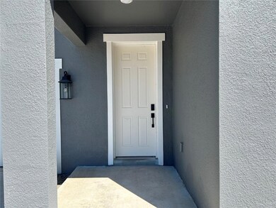 10054 Hidden Hammock Loop, Parrish, FL 34219 - photo 4