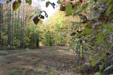 Gosser Ridge Spur, Russell Springs, KY 42642 - photo 6