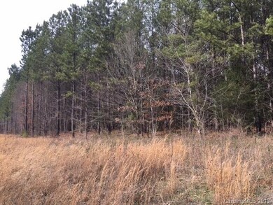 00 Hwy 73 Rd, Iron Station, NC 28092 - photo 6