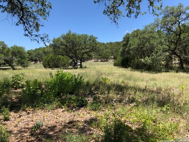 10712 Clearwater Meadow, San Antonio, TX 78255 - photo 5