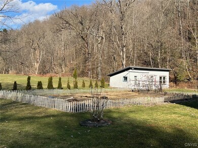 garden and chicken coop/shed