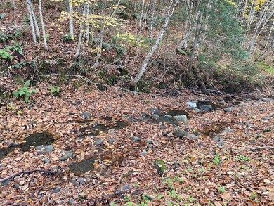 662 Vt Route 15 E, Hardwick, VT 05843 - photo 6