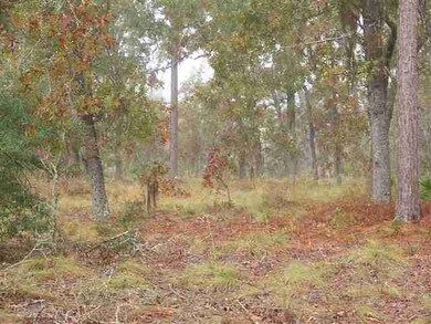 Lot 29 Breeze Dr 2nd unit 1, Perry, FL 32348 - photo 2