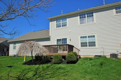 Deck from Common Space