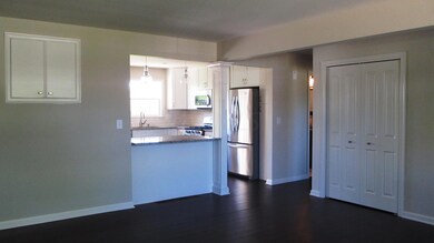 Living Room View to Kitchen