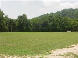 0 Whitaker Bend Dr Lot 18 19 unit 2110846, Linden, TN 37096 - photo 2
