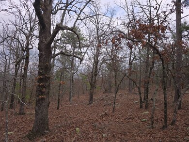 0000 SE 180th Rd, Talihina, OK 74571 - photo 7