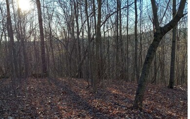 Additional View