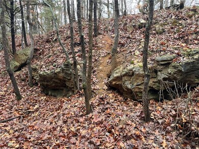 11201-11999 SE 700, Weaubleau, MO 65774 - photo 5