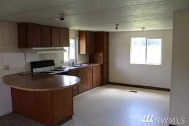 12542 118th Ln SE, Yelm, WA 98597 - photo 4