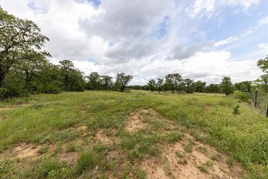 2500 Cool Jct, Millsap, TX 76066 - photo 3