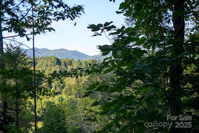 2340 Twin Poplars Ln, Lenoir, NC 28645 - photo 6