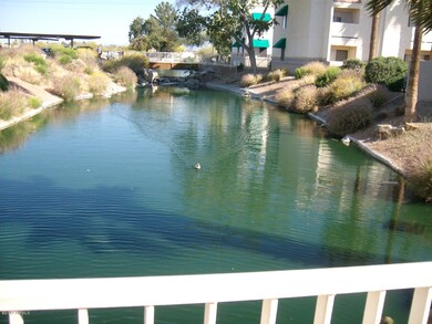 Water Way