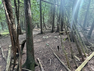 Block 28 Evergreen Rd, Egg Harbor, WI 54209 - photo 5