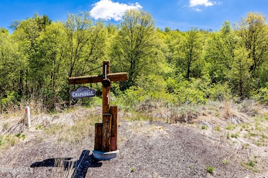 007_03-6567echaparralroad03_182