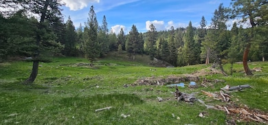 7 Tract Bull Elk, Drummond, MT 59832 - photo 6