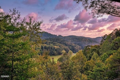 1730 Red Fox Ridge Way, Sevierville, TN 37862 - photo 3